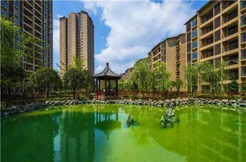 工程覆盖户数4500户!起湾社区